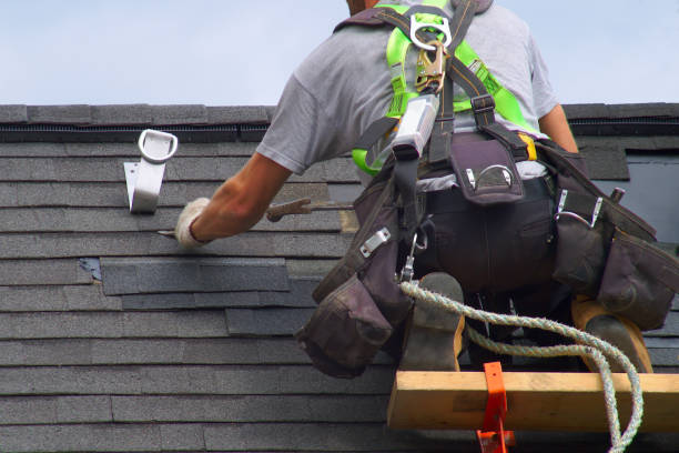 Best Roof Gutter Cleaning  in Edcouch, TX