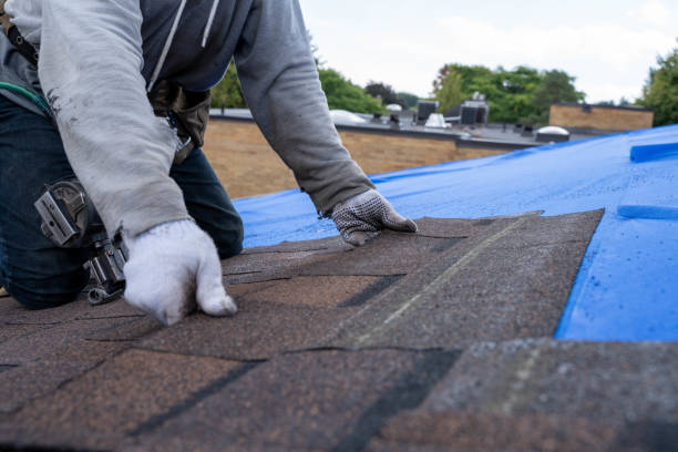 Best Best Roofing Contractors  in Edcouch, TX